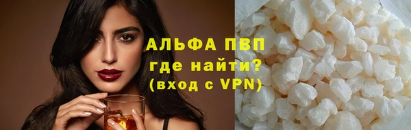 стаф Баксан