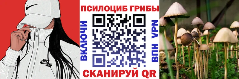 купить наркотики сайты  Бийск  дарк нет формула  Галлюциногенные грибы ЛСД 