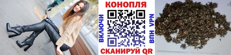 Бошки марихуана гибрид  блэк спрут ТОР  Бийск  где купить наркотик 